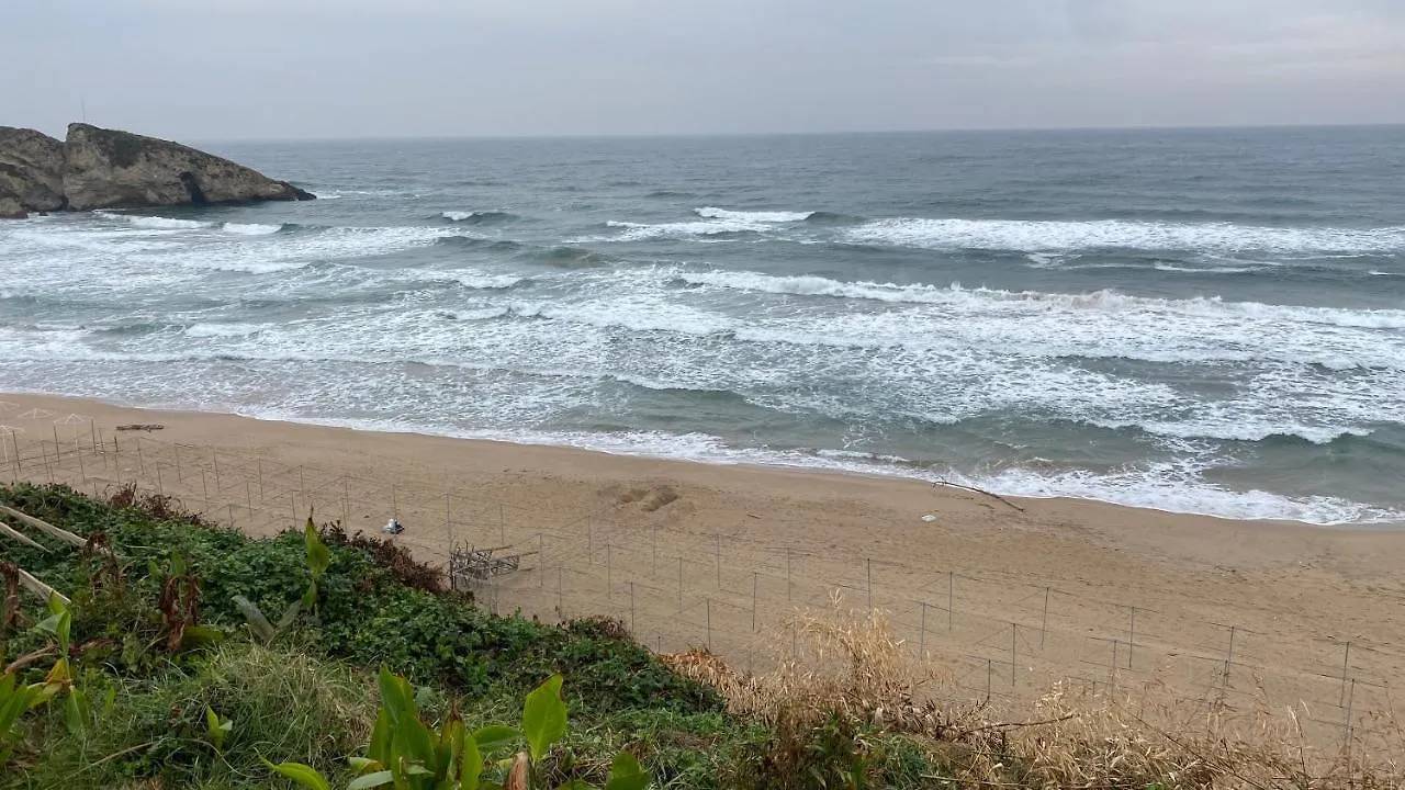 Palm Beach Sile Villa Hotels 0*,  トルコ
